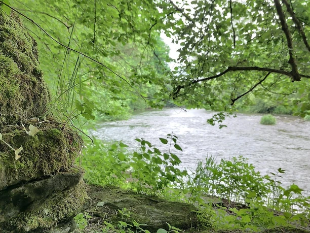 Ederstede Burgwald