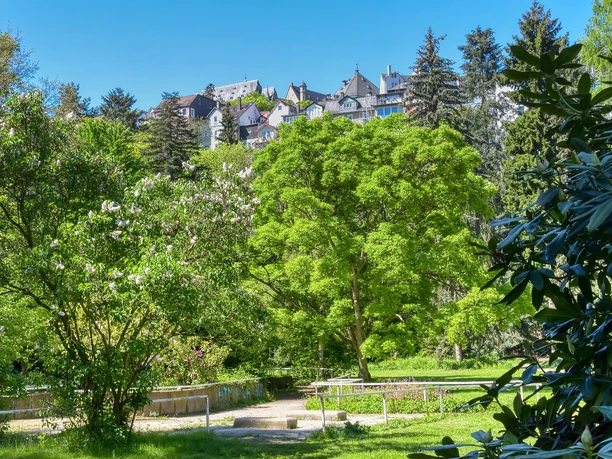 Alter Botanischer Garten Marburg