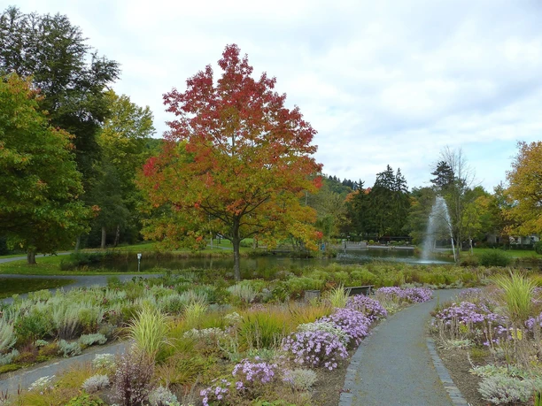 Kurpark in Daun