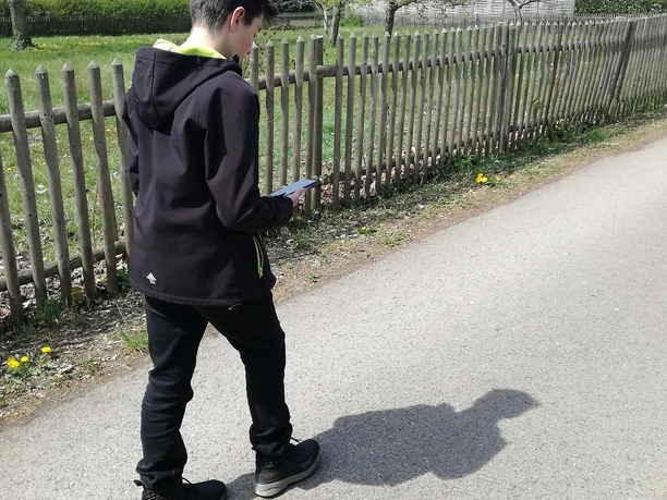 Geo Cache 3