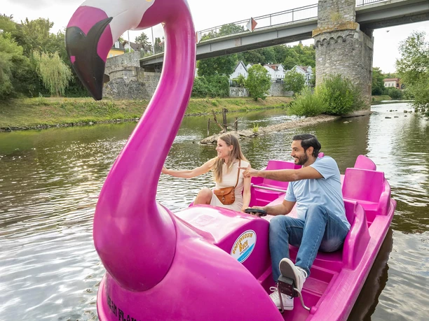 Mit dem Flamingo auf großer Fahrt Mit dem Flamingo auf großer Fahrt