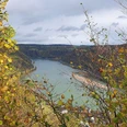 Weinbergsblick