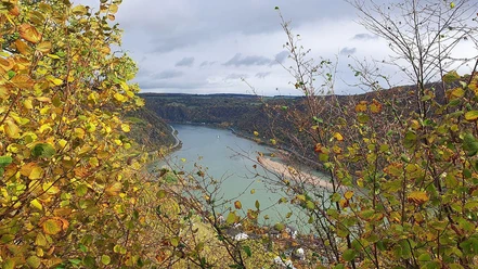 Weinbergsblick