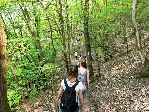 Weinwanderung