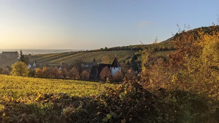 Martinskirche im Herbst