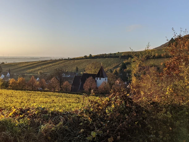 Martinskirche im Herbst