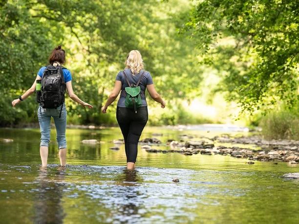 Wandern in der Nister