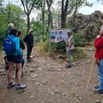 Ge-Tour am Donnersberg