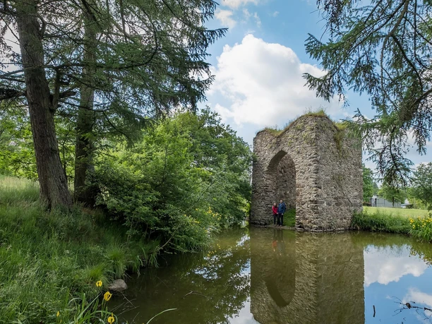 Burgruine_1