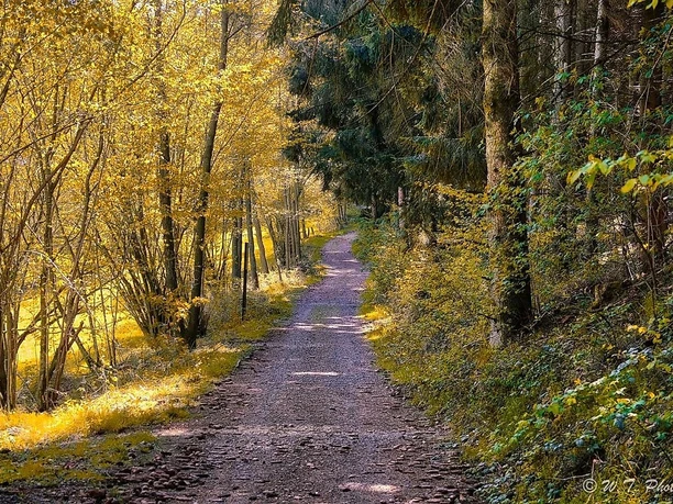 Bachlehrpfad-Wanderweg