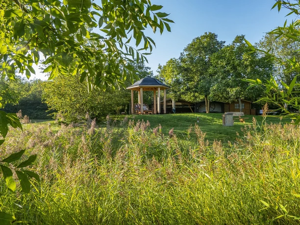 Lebensfluss Fisch (2)