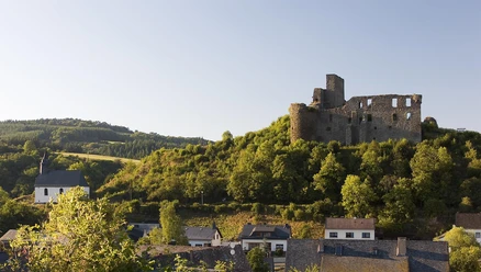 Blick auf den Ort und die Virneburg