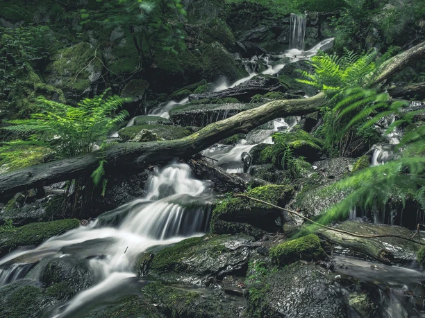 Laubach Wasserfall