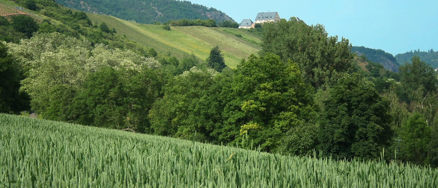 VitalTour, Alsenztal zur Ebernburg