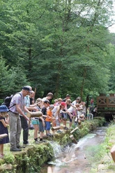 Triftfest Rinnthal