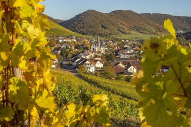 Blick auf Ockfen