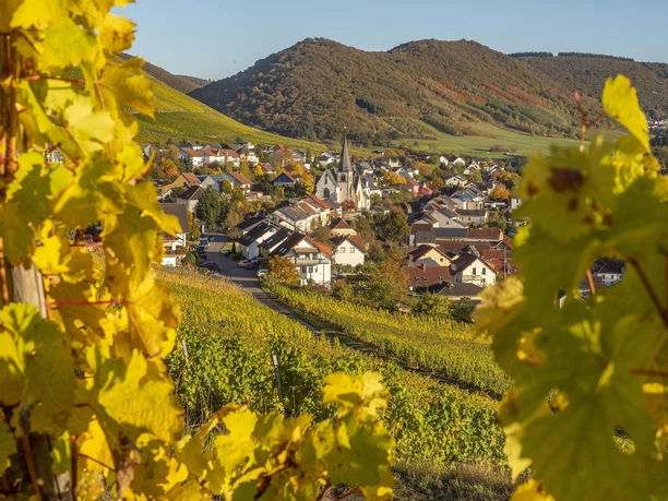 Blick auf Ockfen