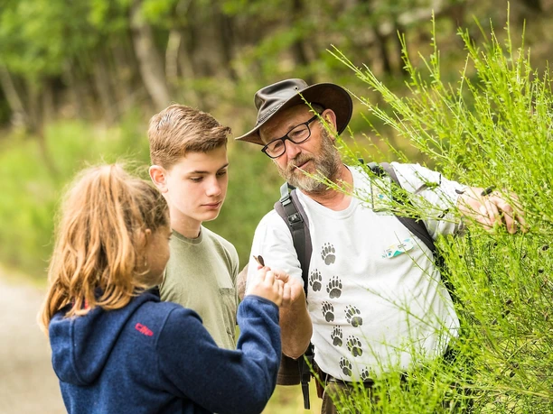 Familientag im Nationalpark Eifel