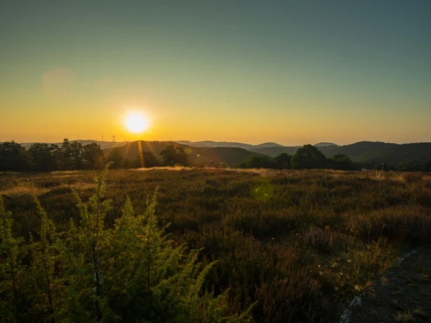 Wacholderheide bei Sonnenaufgang