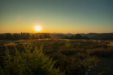 Wacholderheide bei Sonnenaufgang