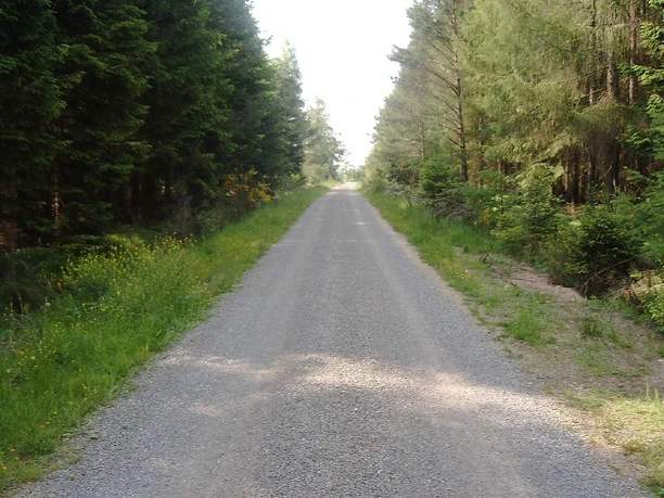 Römerstraße (2)