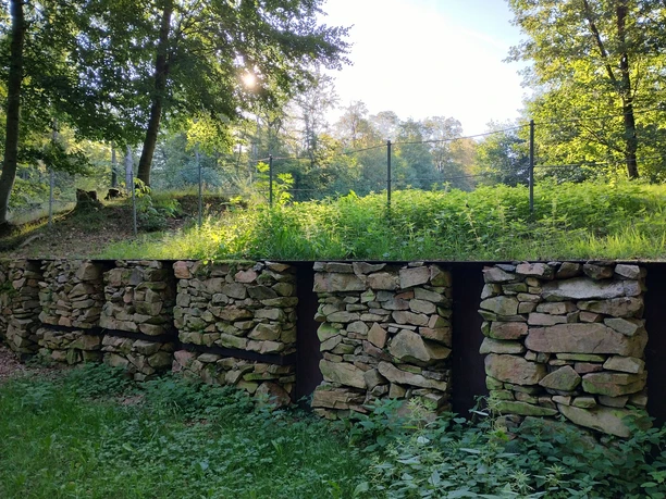 Rekonstruktion Zwischenwall - Ringwall