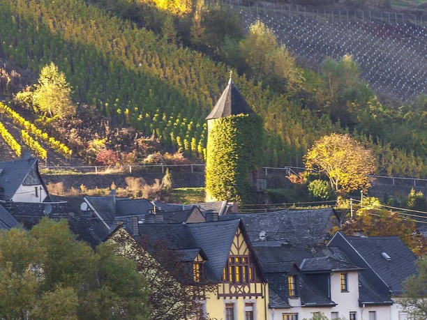 Eulenturm Briedel