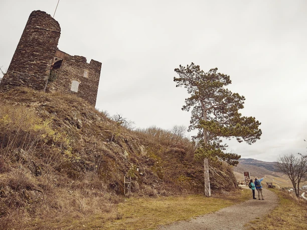 Wanderer an der Ruine Nollig