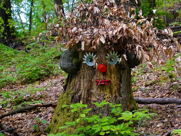 Freizeitgebiet Nahequelle