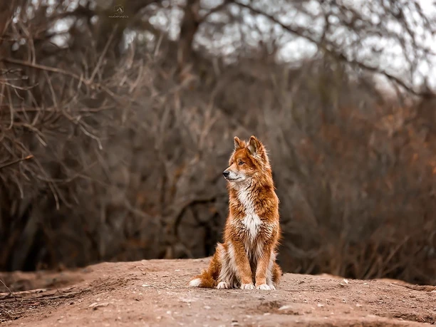 Erhard Trumler Station