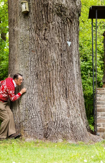Willi und Ernst auf dem Traumschleifchen Murscher Aussichten