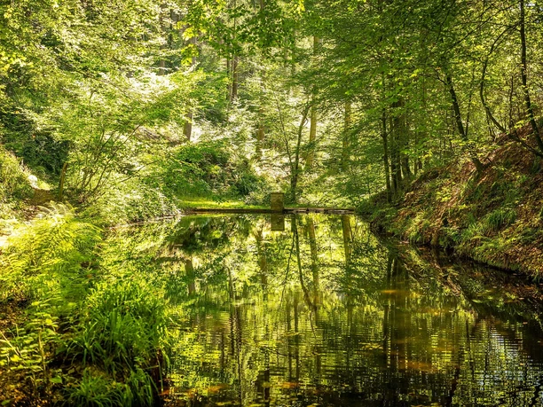 Eiderbachtal