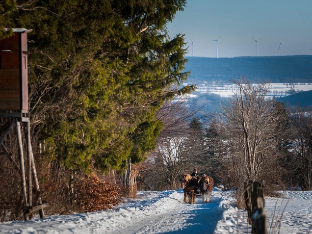 Bauershof Mützenich