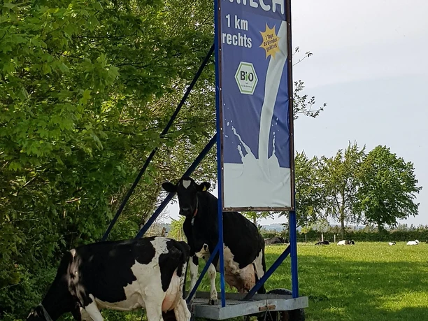 Frische Milch aus dem Milchautomat
