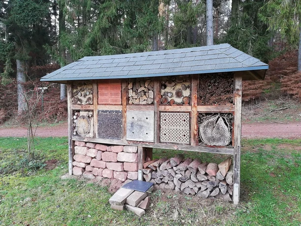 Walderlebnispfad (3)