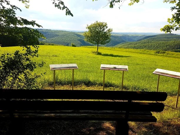 Eifelblick