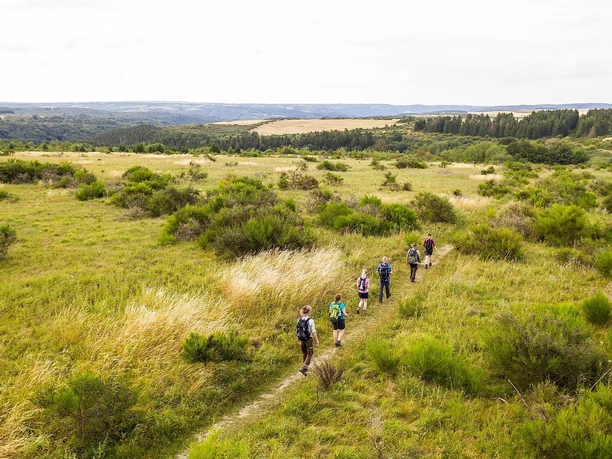 Dreiborner Hochfläche