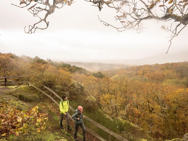 Wandern am Drosselfels