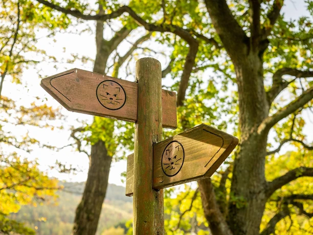 Wildnis-Trail Wegweiser