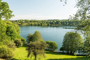 Weinfelder Maar