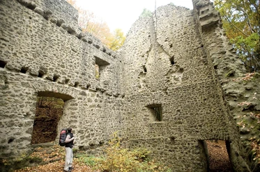 Eifelsteig am Nerother Kopf