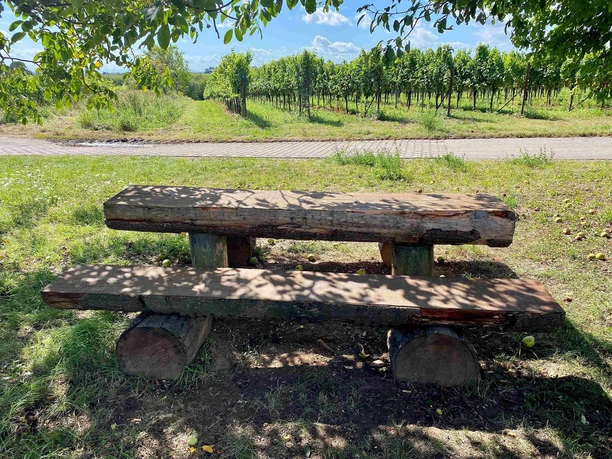 Picknickplatz "Im Rebenmeer" (2)