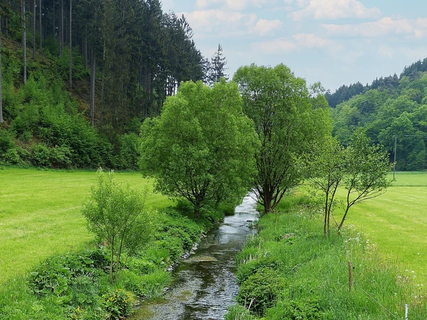 Natursteig Sieg Etappe 9