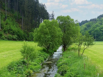 Natursteig Sieg Etappe 9