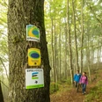 Felsenpfad Wegweiser