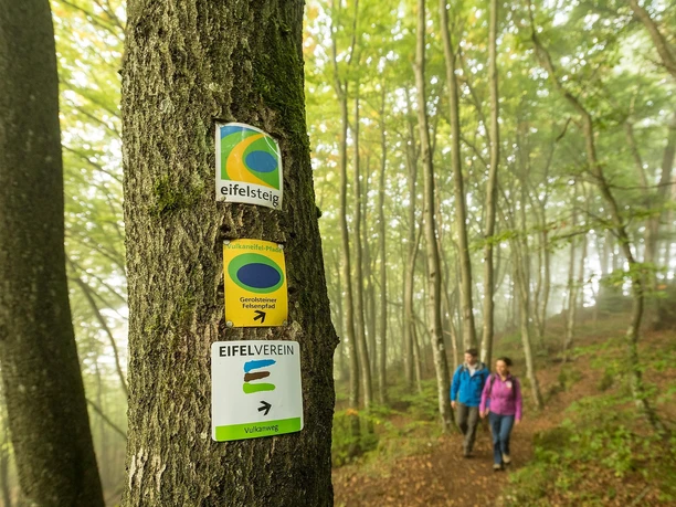 Felsenpfad Wegweiser