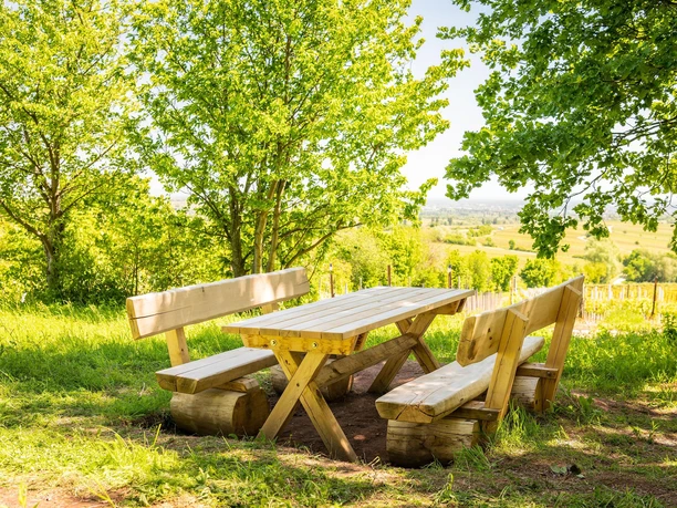 Picknick im Schatten