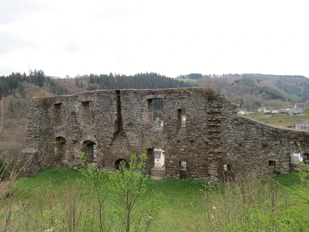 Burgruine Virneburg