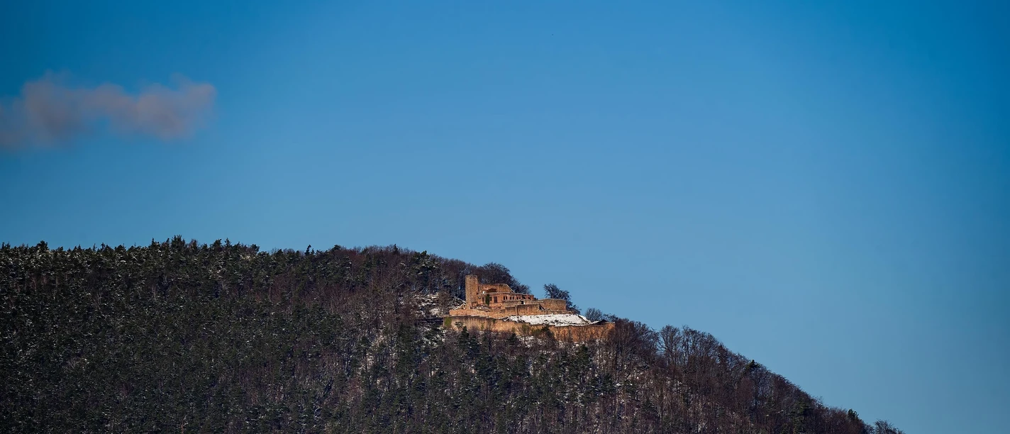 Rietburg Winter