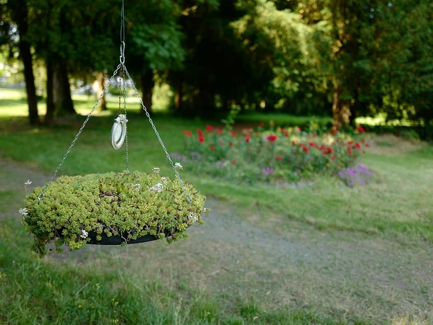 Hängendes Blumenbeet Burggarten Rabenau